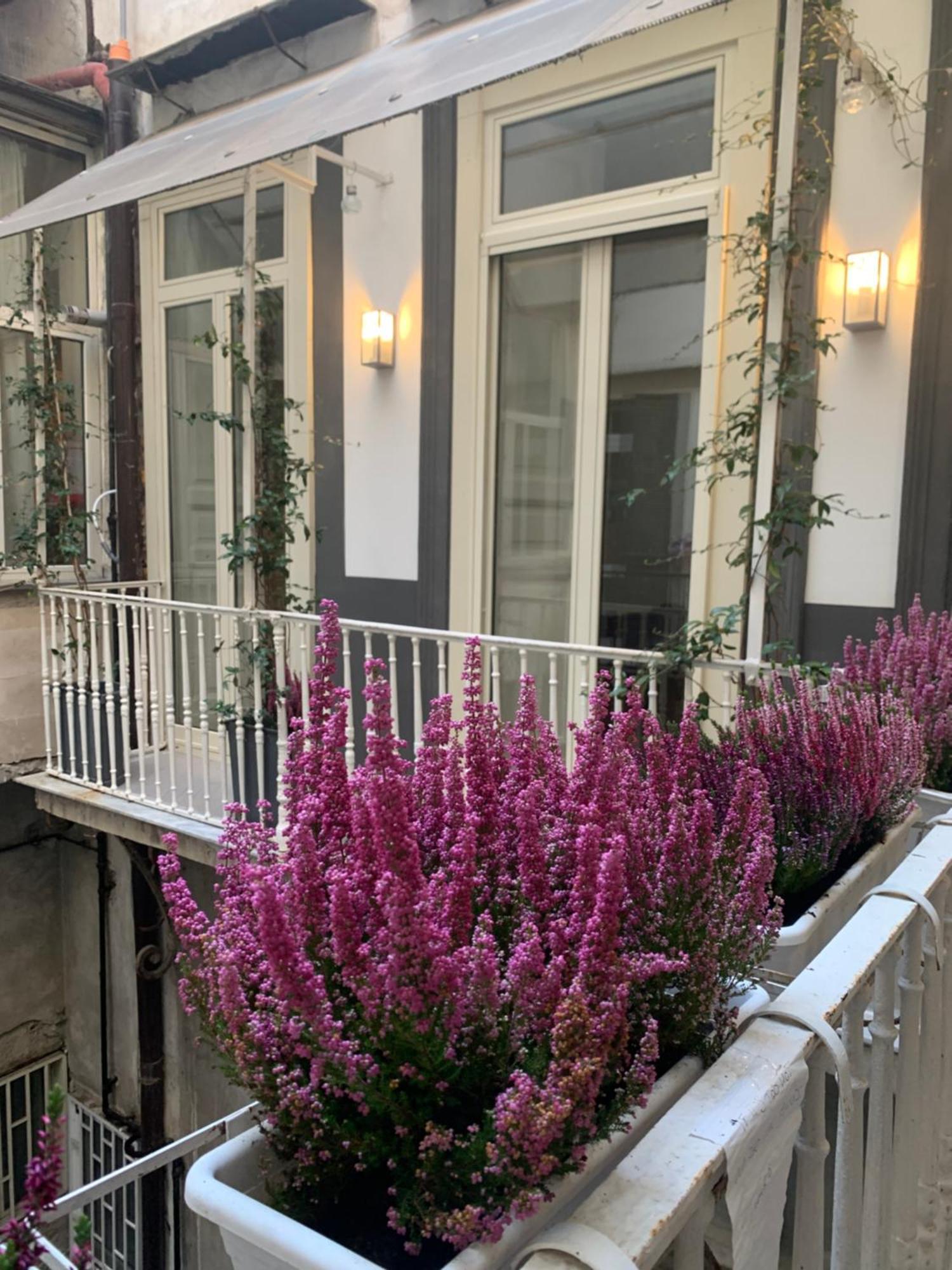Apartment Casa Orlanda